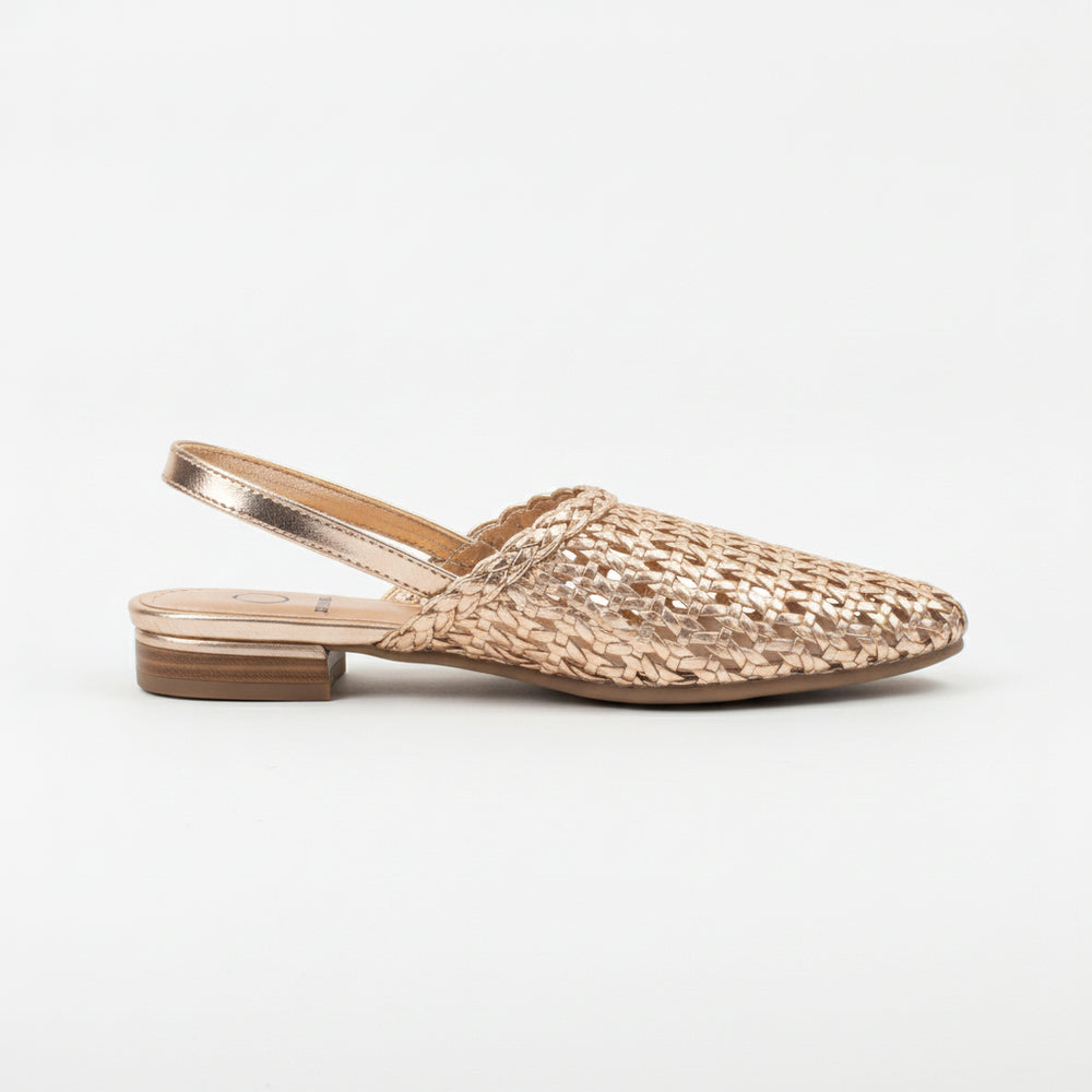 Zapato Metalizado Iv-400-18